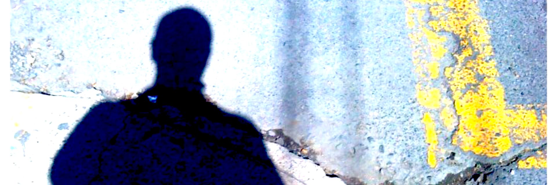 Background Seccion